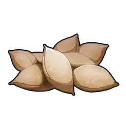 PotatoSeedPotatoes