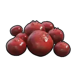 Red Berries