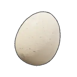 Egg