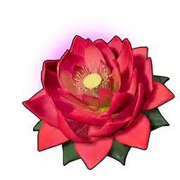 Power Lotus (L)