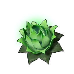 Life Lotus (S)