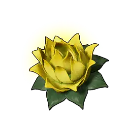 Stamina Lotus (S)