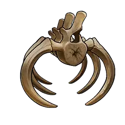Ancient Bone