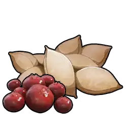 Berry Seeds