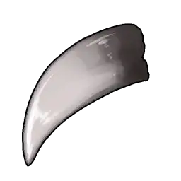 Fang