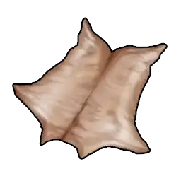 Leather