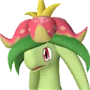 Dinossom