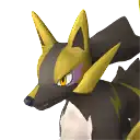 Rayhound